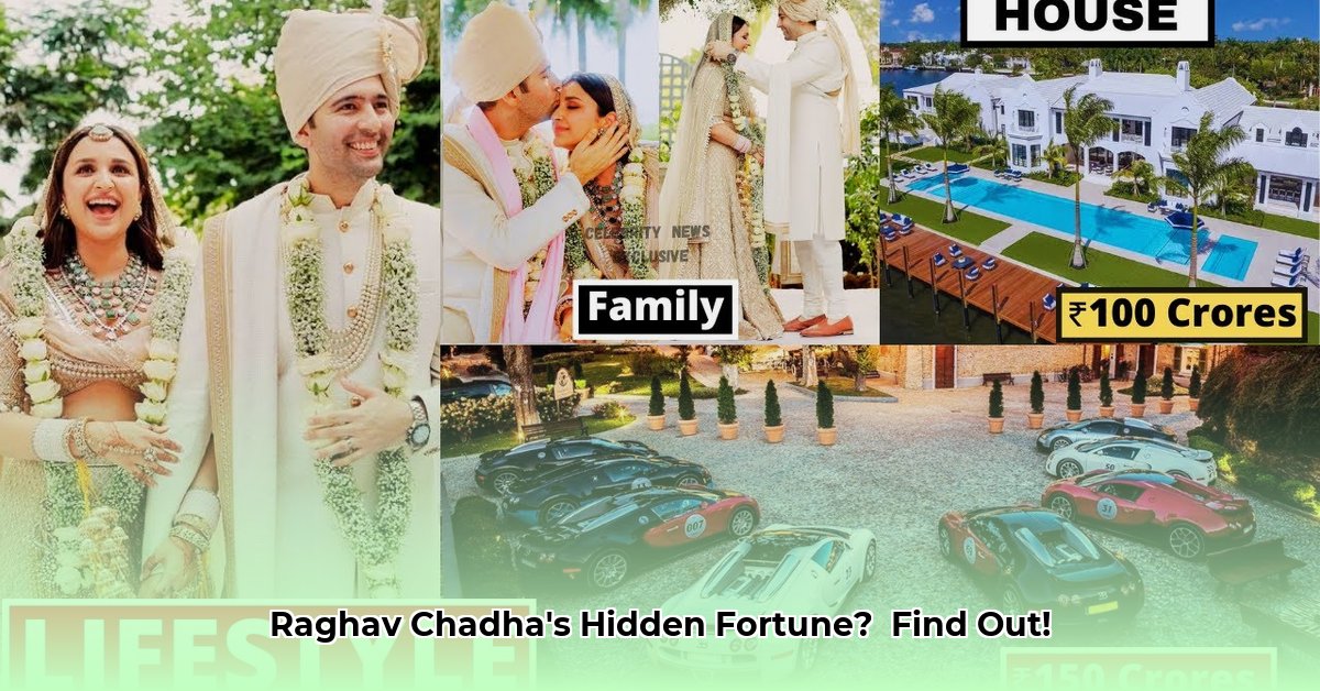 raghav-chadha-family-net-worth